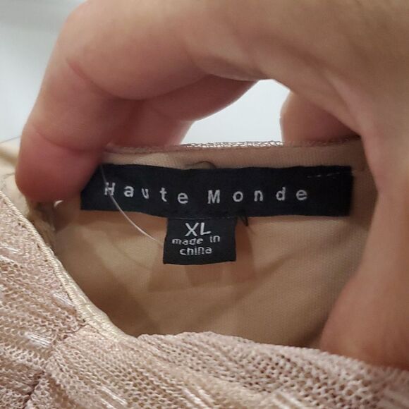 NWT Haute Monde Champagne Tulle Mesh Mini Dress, Size Xl - Picture 3 of 7